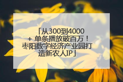 从300到4000+ 单条播放破百万！枣阳数字经济产业园打造新农人IP