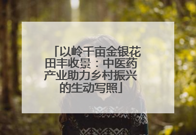 以岭千亩金银花田丰收景：中医药产业助力乡村振兴的生动写照