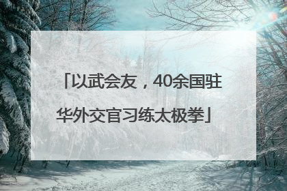 以武会友，40余国驻华外交官习练太极拳
