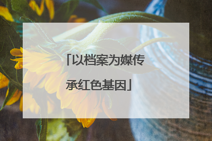 以档案为媒传承红色基因