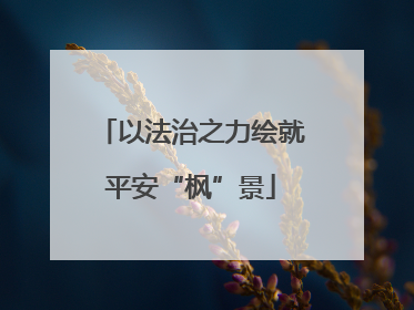 以法治之力绘就平安“枫”景
