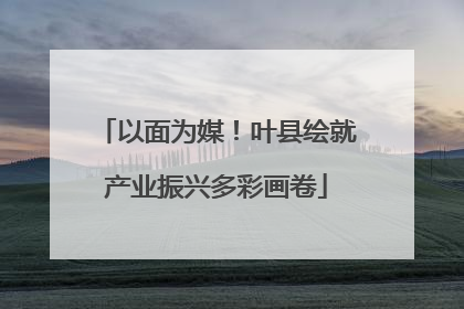 以面为媒！叶县绘就产业振兴多彩画卷