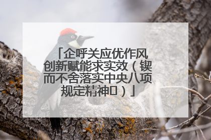 企呼关应优作风 创新赋能求实效（锲而不舍落实中央八项规定精神⑭）