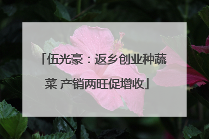 伍光豪：返乡创业种蔬菜 产销两旺促增收