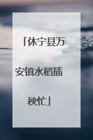 休宁县万安镇水稻插秧忙