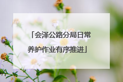 会泽公路分局日常养护作业有序推进