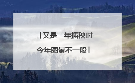 又是一年插秧时 今年图景不一般