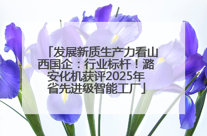 发展新质生产力看山西国企：行业标杆！潞安化机获评2025年省先进级智能工厂