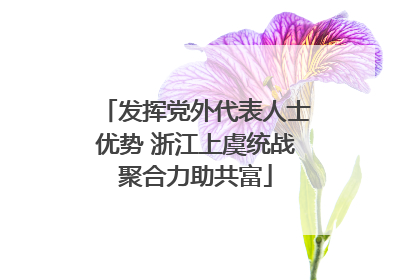 发挥党外代表人士优势 浙江上虞统战聚合力助共富