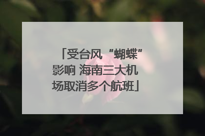 受台风“蝴蝶”影响 海南三大机场取消多个航班