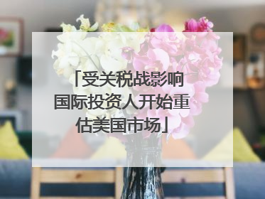 受关税战影响 国际投资人开始重估美国市场