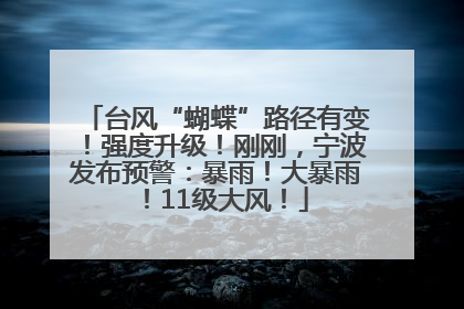 台风“蝴蝶”路径有变！强度升级！刚刚，宁波发布预警：暴雨！大暴雨！11级大风！