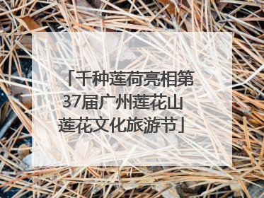 千种莲荷亮相第37届广州莲花山莲花文化旅游节