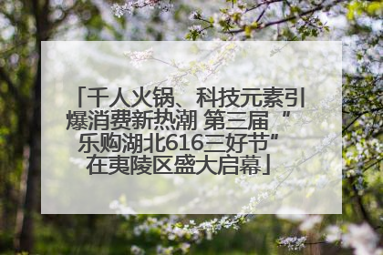 千人火锅、科技元素引爆消费新热潮 第三届“乐购湖北616三好节”在夷陵区盛大启幕