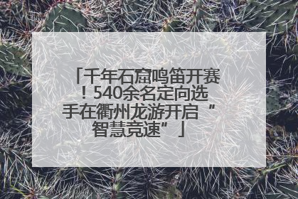 千年石窟鸣笛开赛！540余名定向选手在衢州龙游开启“智慧竞速”