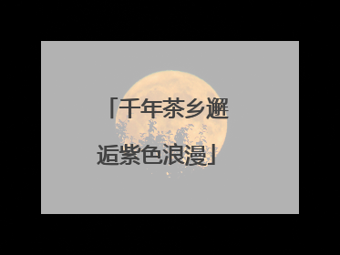 千年茶乡邂逅紫色浪漫