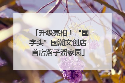 升级亮相！“国字头”国潮文创店首店落子潘家园