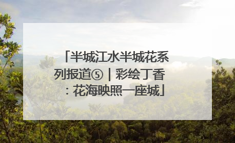 半城江水半城花系列报道⑤｜彩绘丁香：花海映照一座城