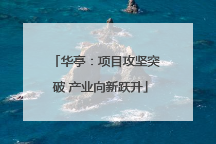 华亭：项目攻坚突破 产业向新跃升