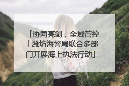 协同亮剑，全域管控丨潍坊海警局联合多部门开展海上执法行动