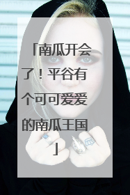 南瓜开会了！平谷有个可可爱爱的南瓜王国
