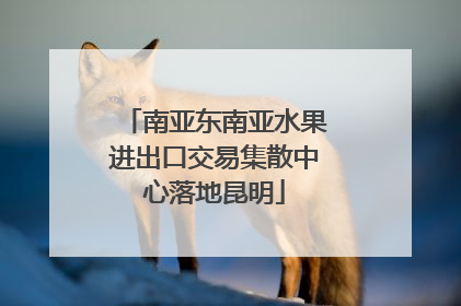 南亚东南亚水果进出口交易集散中心落地昆明