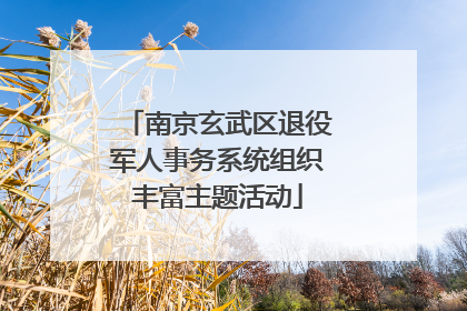 南京玄武区退役军人事务系统组织丰富主题活动