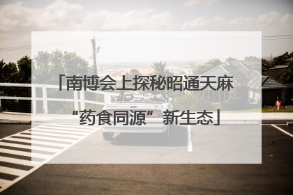 南博会上探秘昭通天麻“药食同源”新生态