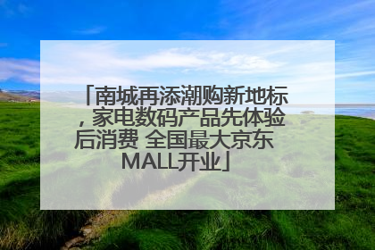 南城再添潮购新地标，家电数码产品先体验后消费 全国最大京东MALL开业