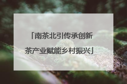 南茶北引传承创新 茶产业赋能乡村振兴