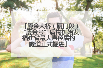 厦金大桥（厦门段）“厦金号”盾构机始发 福建省最大直径盾构隧道正式掘进