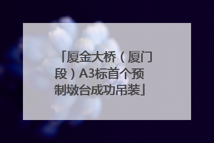 厦金大桥（厦门段）A3标首个预制墩台成功吊装