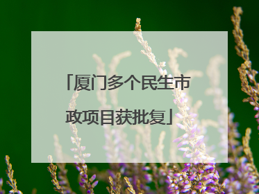 厦门多个民生市政项目获批复