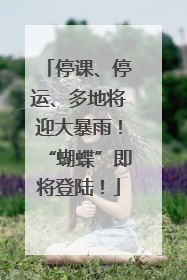 停课、停运、多地将迎大暴雨！“蝴蝶”即将登陆！