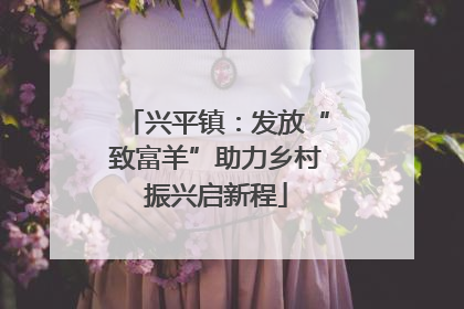 兴平镇：发放“致富羊”助力乡村振兴启新程