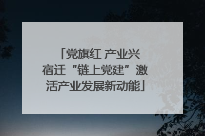 党旗红 产业兴 宿迁“链上党建”激活产业发展新动能