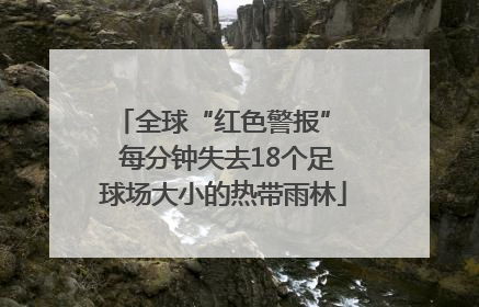 全球“红色警报”  每分钟失去18个足球场大小的热带雨林