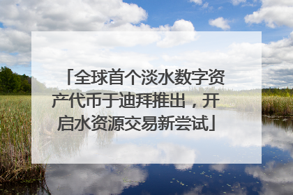 全球首个淡水数字资产代币于迪拜推出，开启水资源交易新尝试