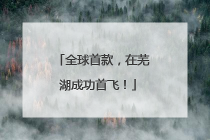 全球首款，在芜湖成功首飞！