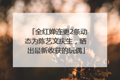 全红婵连更2条动态为陈艺文庆生，晒出最新收获的玩偶