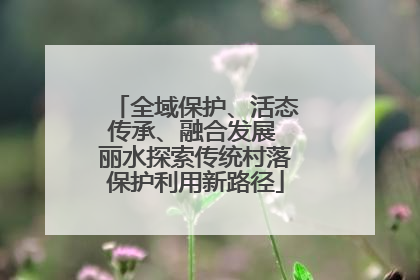 全域保护、活态传承、融合发展 丽水探索传统村落保护利用新路径