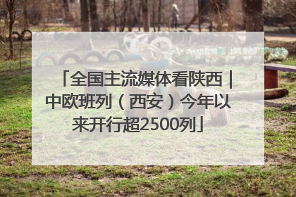 全国主流媒体看陕西｜中欧班列（西安）今年以来开行超2500列