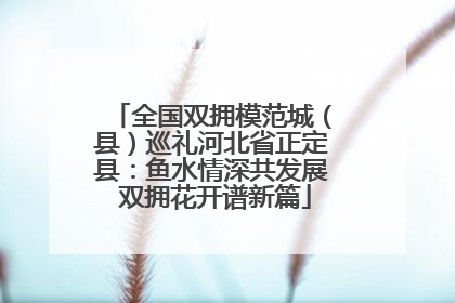 全国双拥模范城（县）巡礼河北省正定县：鱼水情深共发展 双拥花开谱新篇
