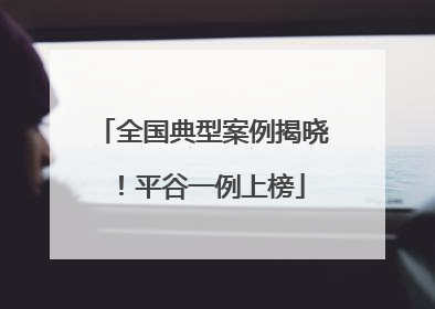 全国典型案例揭晓！平谷一例上榜