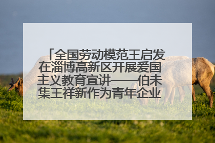 全国劳动模范王启发在淄博高新区开展爱国主义教育宣讲——伯未集王祥新作为青年企业家代表作主题演讲