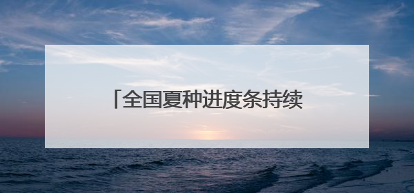 全国夏种进度条持续刷新：多地抢抓农时 筑牢粮食丰收基础