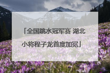 全国跳水冠军赛 湖北小将程子龙首度加冕