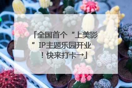 全国首个“上美影”IP主题乐园开业！快来打卡→