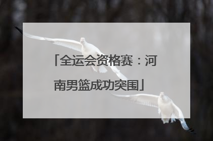 全运会资格赛：河南男篮成功突围