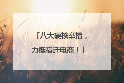 八大硬核举措，力挺宿迁电商！